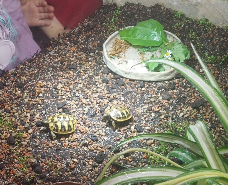 74d79206-64ca-4b51-abce-65c2e48c42be