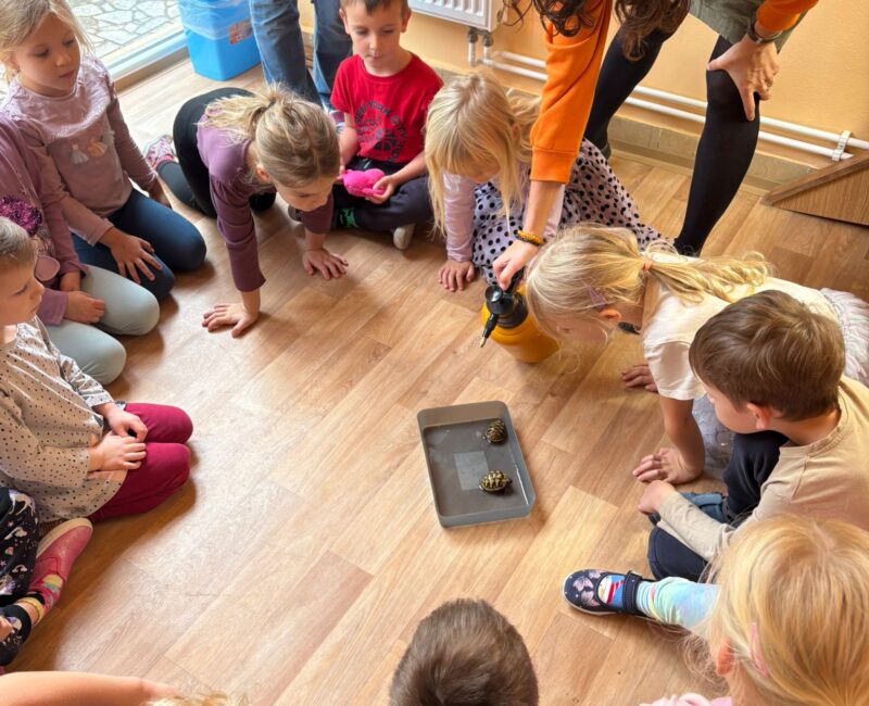 7C69D3E3-8654-4F2A-B463-1348B057B710