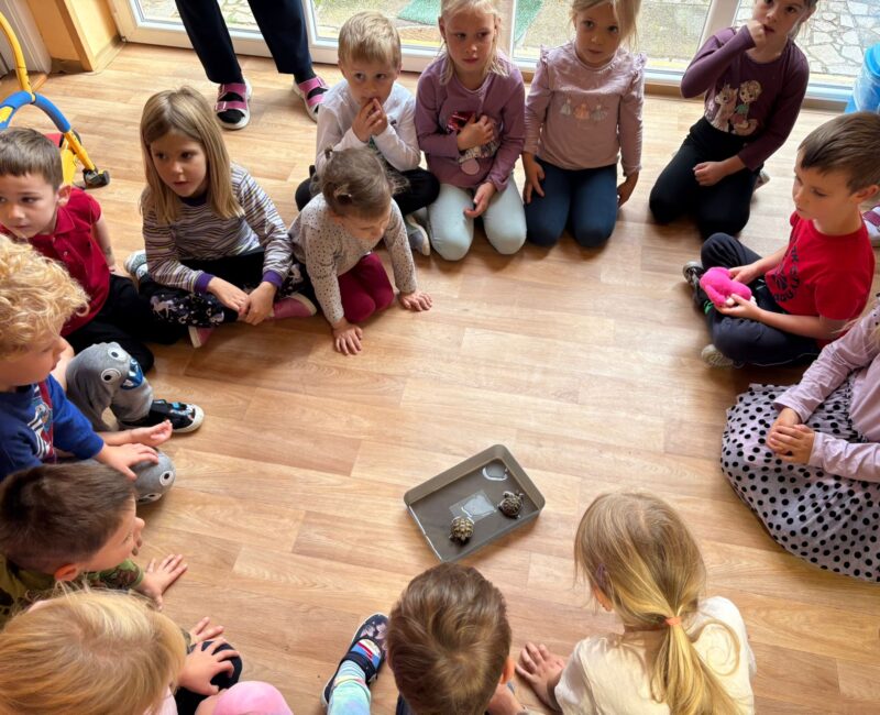 AA7AF363-192B-4D23-BEBF-FC370D14BA4B