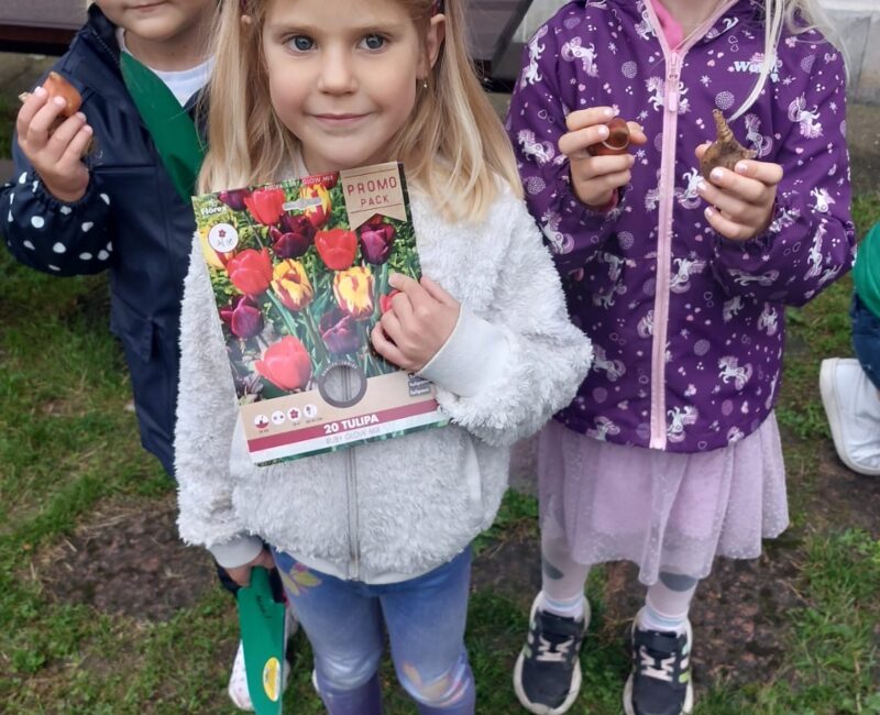 aa673e9a-8bee-45e2-bce1-da518cd4f1a6