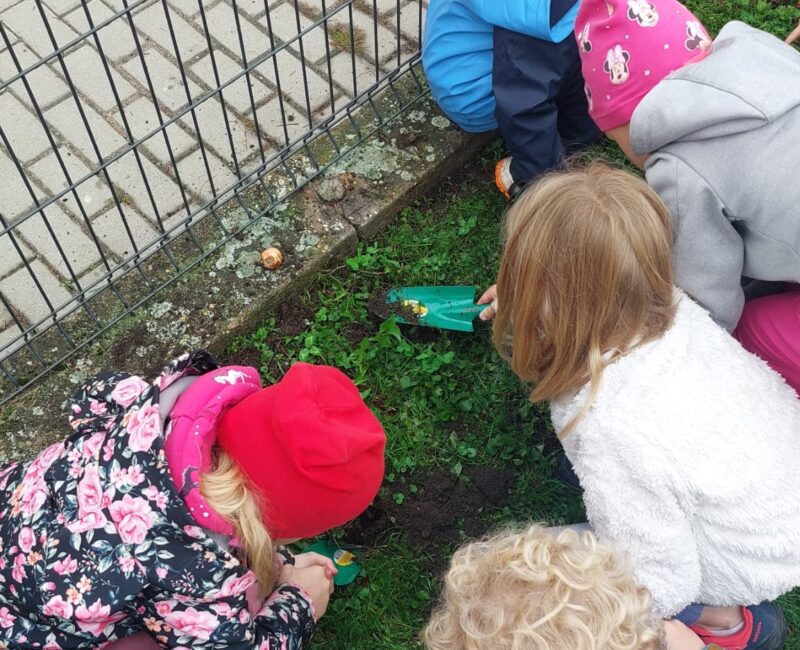 f4f0bc8d-e2db-4e74-a5af-20eb49c3c19d